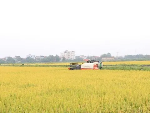 Khẩn trương hoàn thiện Bộ tiêu chí xã nông thôn mới giai đoạn 2026- 2030