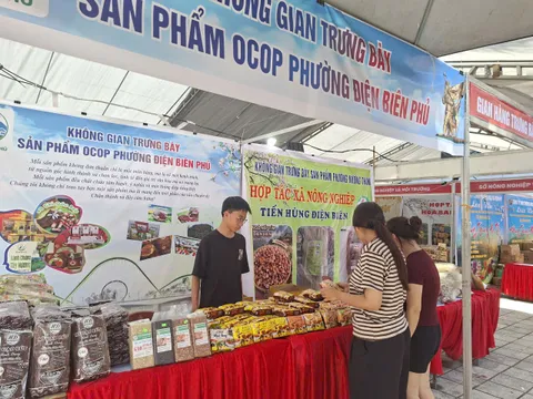 Xúc tiến thương mại Điện Biên 2026: Tạo cơ hội để sản phẩm OCOP vươn ra thị trường lớn