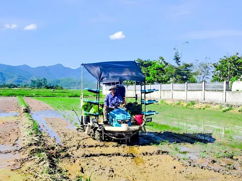 Hướng đi bền vững cho người nông dân từ mô hình canh tác giảm phát thải