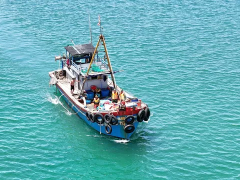 Bộ đội Biên phòng thành phố Huế xử lý hai tàu cá vi phạm vùng khai thác
