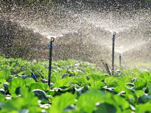 Dữ liệu trồng trọt sẽ thay thế hồ sơ giấy trong giải quyết thủ tục hành chính