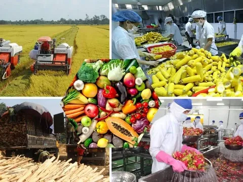Điểm sáng kinh tế: Nông nghiệp xuất siêu 8,41 tỷ USD