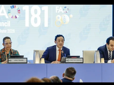 FAO cảnh báo nguy cơ 'sốc phân bón' toàn cầu từ khủng hoảng eo biển Hormuz