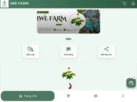 iWE FARM: Giải pháp số hóa trong quản lý và truy xuất nguồn gốc của Sâm Ngọc Linh