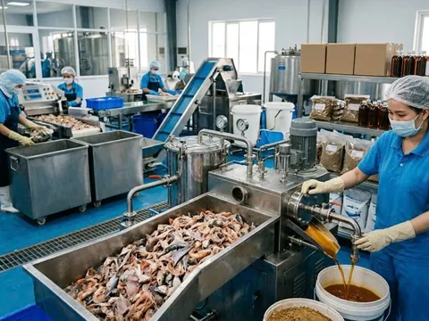 Chiến lược thâu tóm lợi nhuận từ nguồn phụ phẩm trong ngành chế biến thủy sản