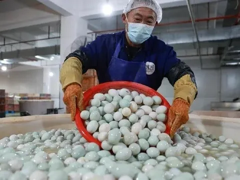 Bài học thoát bẫy 'bán thô' xây dựng sản nghiệp hơn 3 nghìn tỉ từ trứng vịt