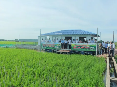 Phát triển nông nghiệp hữu cơ trở thành xu thế tất yếu, góp phần bảo vệ môi trường