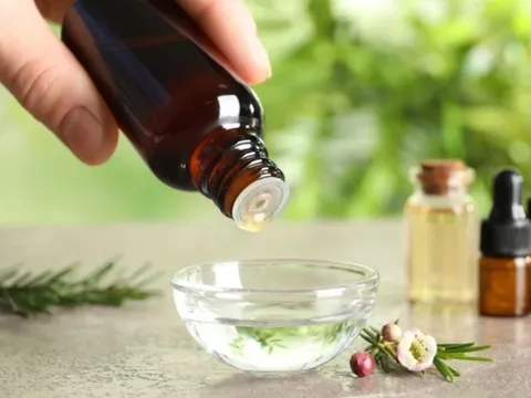Tự làm dung dịch xua muỗi từ thảo mộc trong vườn nhà