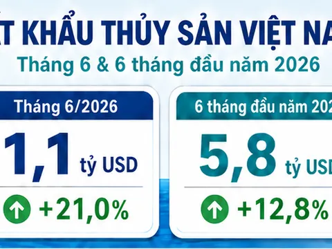 Đạt 5,8 tỷ USD, xuất khẩu thủy sản 6 tháng đầu năm 2026 duy trì tăng trưởng nhưng áp lực chi phí, thị trường và logistics còn lớn