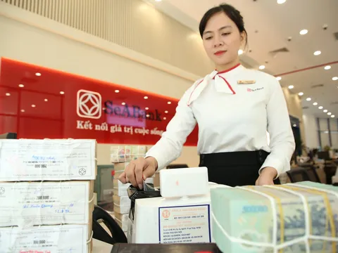 Những dấu ấn phát triền của SeABank năm 2025