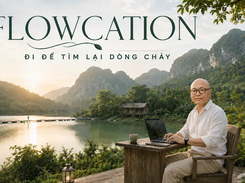 Flowcation: Xu hướng mở thêm lối đi cho du lịch xanh tại Việt Nam