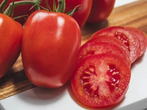 Cà chua chín cây Rocco Reds: Khi hương vị nguyên bản được giới chuyên gia quốc tế công nhận