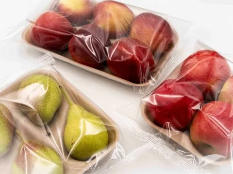 Khay tái chế cho nông sản tươi: Giải pháp kép cho bài toán lãng phí thực phẩm và rác thải nhựa
