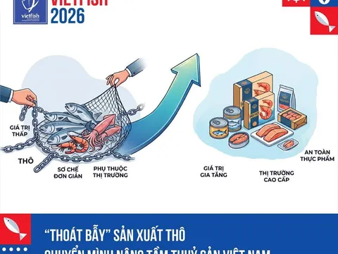 Thoát bẫy xuất khẩu thô giá rẻ: Bước chuyển mình nghìn tỷ của ngành thủy sản Việt Nam