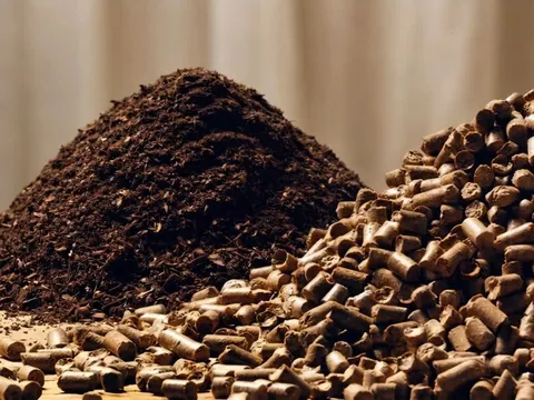Giải mã giá trị của những mỏ vàng bị lãng quên trên đồng ruộng Việt Nam