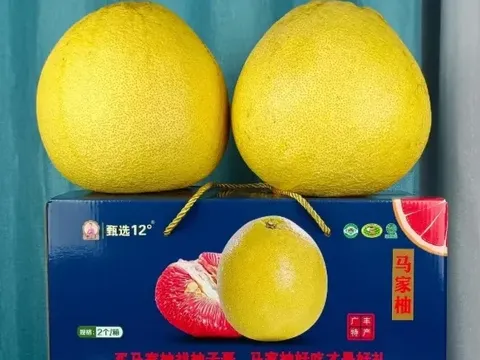 Lội ngược dòng từ nợ nần, 'Anh Bưởi' xây dựng đế chế 3 nghìn tỷ từ đặc sản quê hương