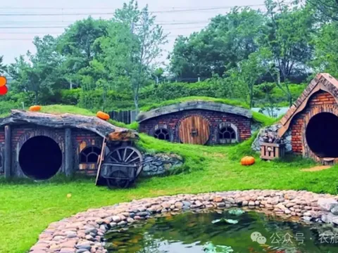 Đất không nhiều vẫn sinh lời lớn: 3 mô hình giúp nông trại nhỏ tạo lợi thế cạnh tranh