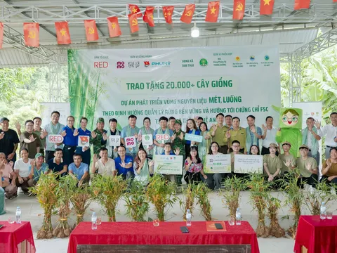 Khởi động dự án phát triển vùng nguyên liệu mét, luồng theo hướng quản lý rừng bền vững tại Nghệ An