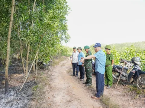 TP Huế: Kịp thời khống chế nhiều đám cháy rừng liên tiếp