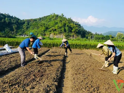 Xuất cấp hạt giống cây trồng hỗ trợ Lào Cai khôi phục sản xuất