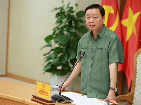 Nuôi, trồng dược liệu dưới tán rừng phải gắn chặt với 'giữ dân, giữ rừng'