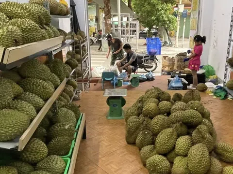 Xuất khẩu sầu riêng đông lạnh tăng 3 lần