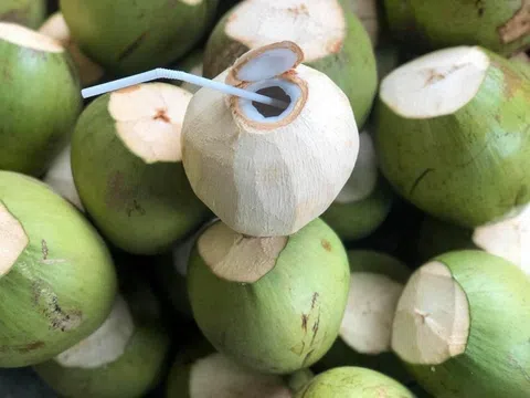 Dừa tươi Việt Nam: Từ đặc sản địa phương đến ngành hàng tỷ USD