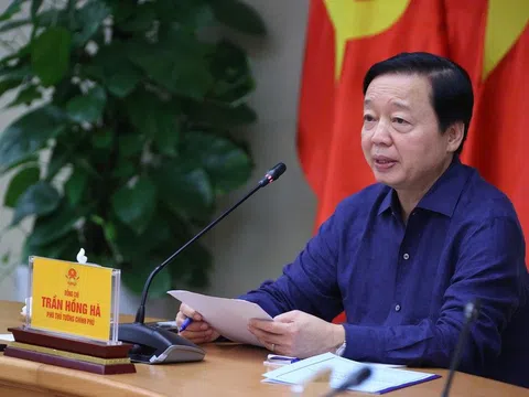 Ngăn dịch tả lợn châu Phi: Kiện toàn lực lượng thú y ở cơ sở, xây dựng hướng dẫn phòng dịch mới