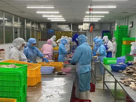 Cơ hội và thách thức cho nông sản Việt trước 'khoảng trống' tại thị trường EU