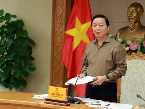 Nông nghiệp không chỉ là 'trụ đỡ' mà cần thể hiện vai trò tiên phong của nền kinh tế