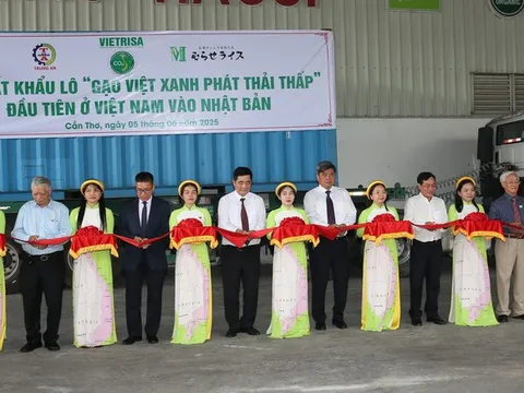 Hơn 70.000 tấn “Gạo Việt xanh, phát thải thấp” được cấp nhãn hiệu: Bước tiến mới của gạo Việt