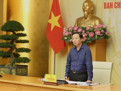 Xử lý 100% các vụ vi phạm khai thác IUU còn tồn đọng