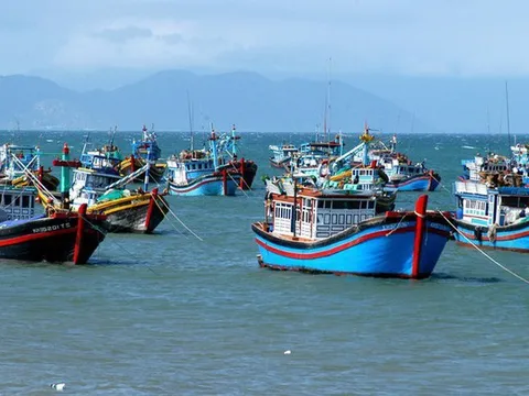 Thủ tướng Chính phủ yêu cầu khắc phục triệt để các tồn tại trong chống khai thác IUU