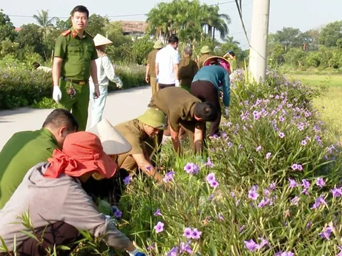 Điều kiện công nhận xã đạt chuẩn nông thôn mới, nông thôn mới hiện đại