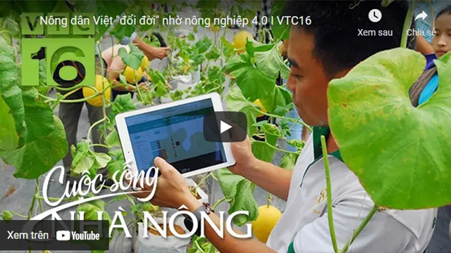 Nông dân Việt "đổi đời" nhờ nông nghiệp 4.0